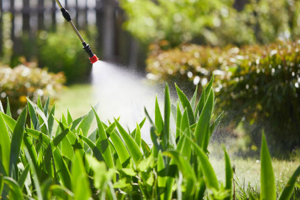 24/7 Emergency Fumigation Services experts in Linton, IN