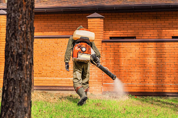 Trusted Ant Control service in Linton, IN - Nex Pest Control